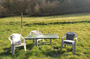 Maison à l'ancienne avec grand terrain , animaux bienvenus